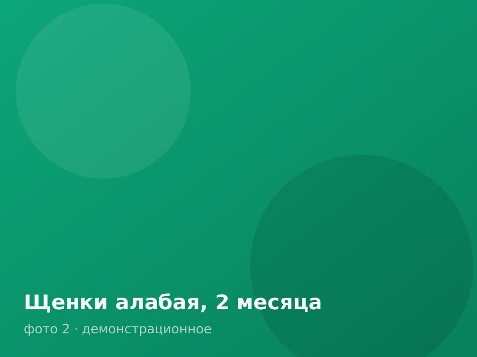 Щенки алабая, 2 месяца — фото 2