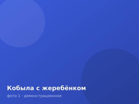 Кобыла с жеребёнком