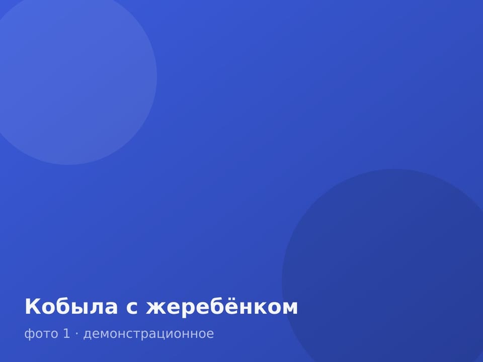 Кобыла с жеребёнком — фото 1