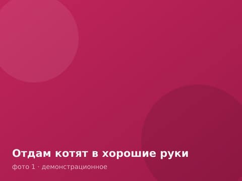 Отдам котят в хорошие руки