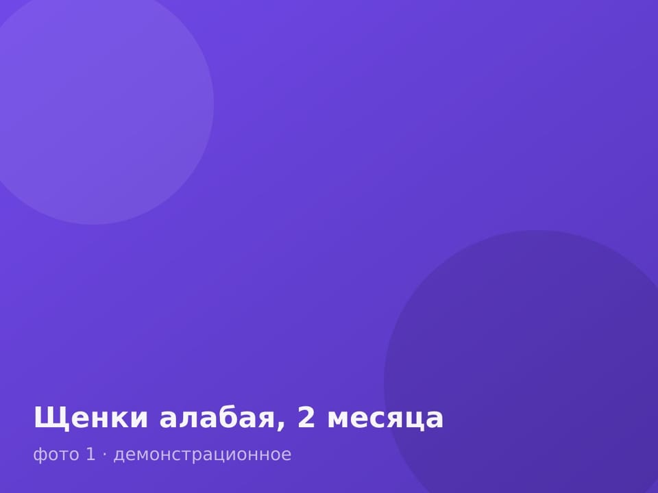 Щенки алабая, 2 месяца — фото 1