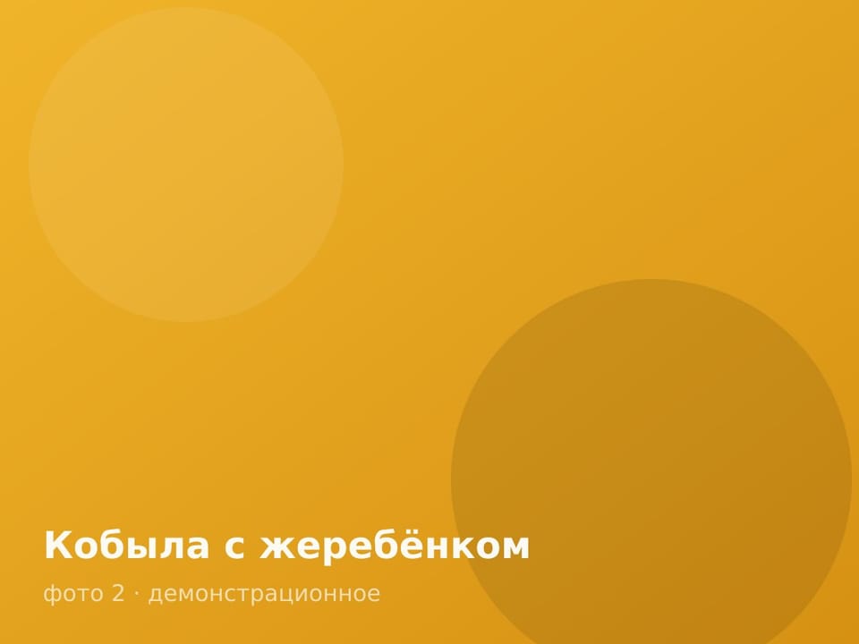Кобыла с жеребёнком — фото 2