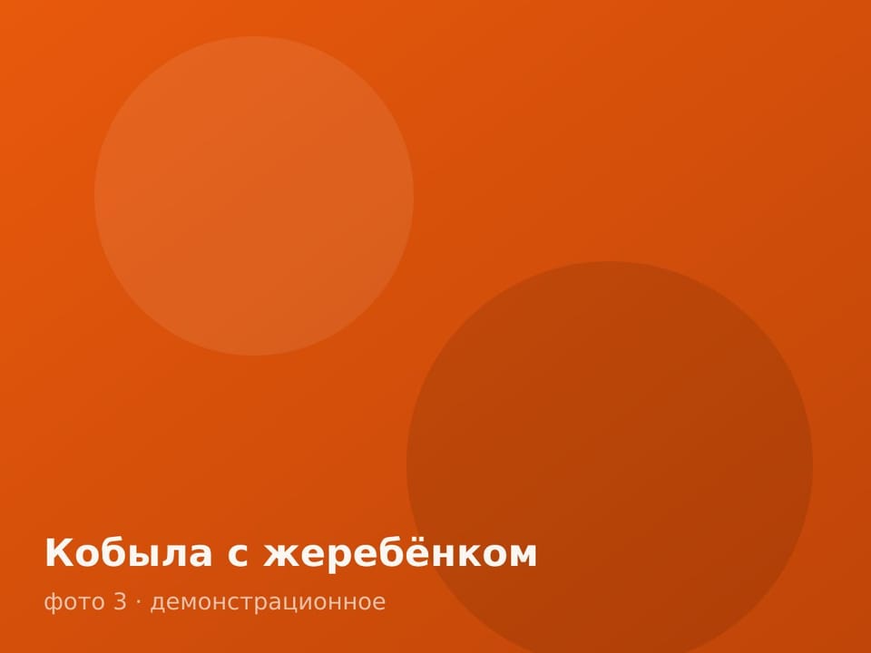 Кобыла с жеребёнком — фото 3